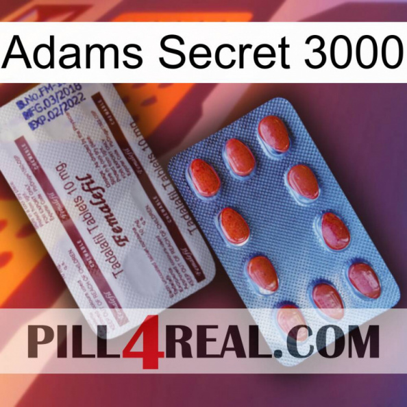 Adams Secret 3000 36.jpg